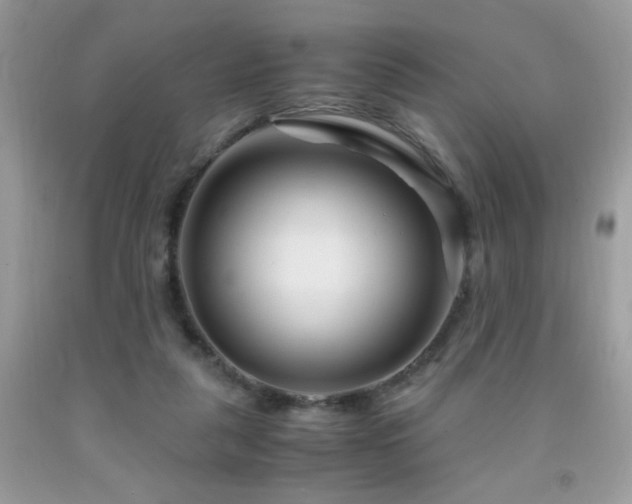 X0000091980259200709061401