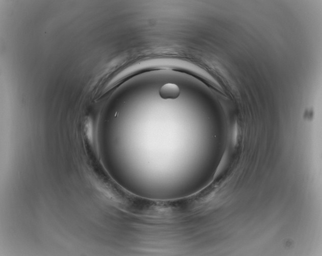 X0000091980260200709061401