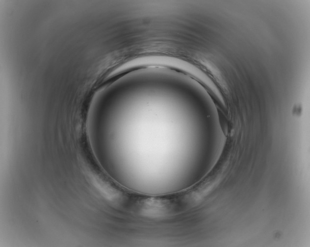X0000091980261200709061401