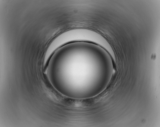 X0000091980264200709061401