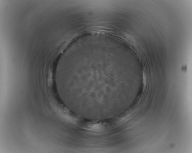 X0000091980267200709061401