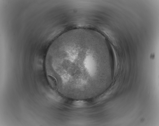 X0000091980269200709061401
