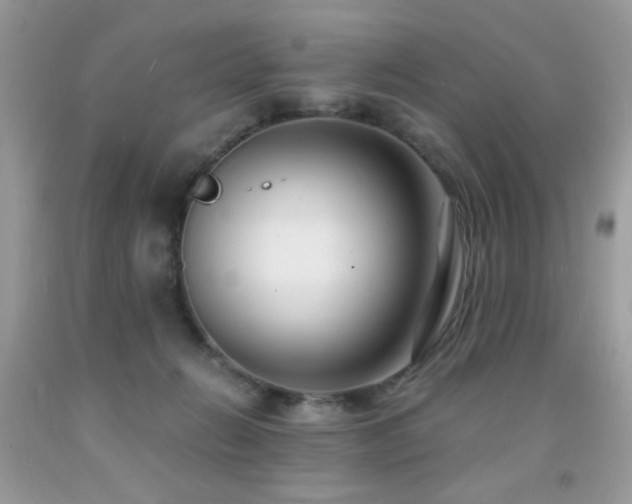 X0000091980270200709061401