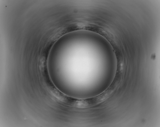 X0000091980275200709061401