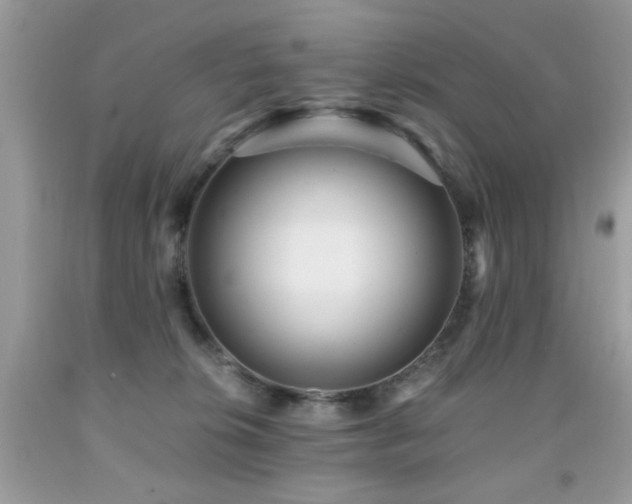 X0000091980276200709061401
