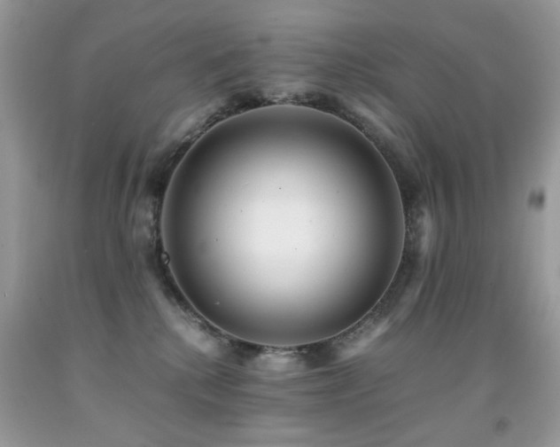 X0000091980280200709061401