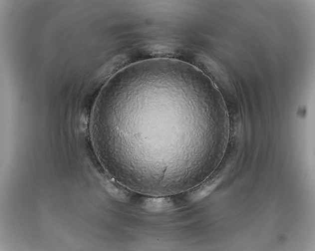 X0000091980281200709061401