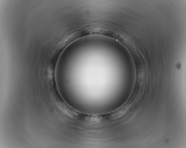 X0000091980282200709061401