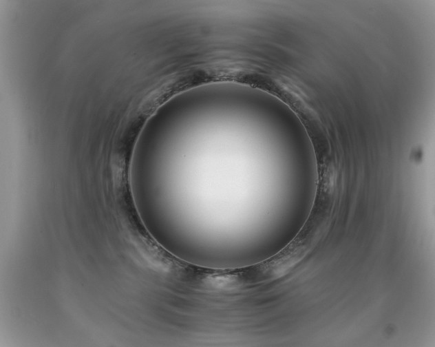 X0000091980283200709061401