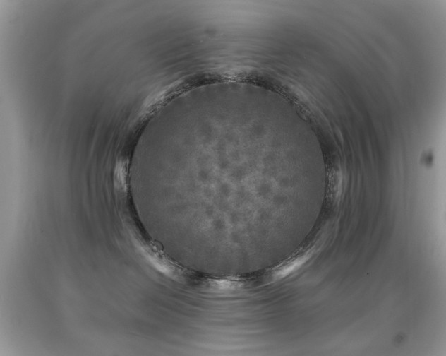 X0000091980286200709061401