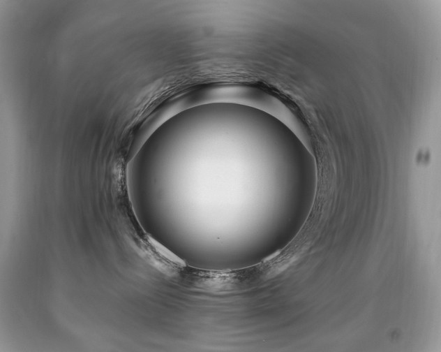 X0000091980288200709061401