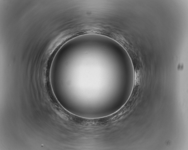 X0000091980291200709061401