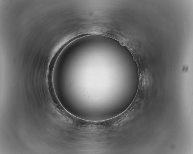 X0000091980292200709061400