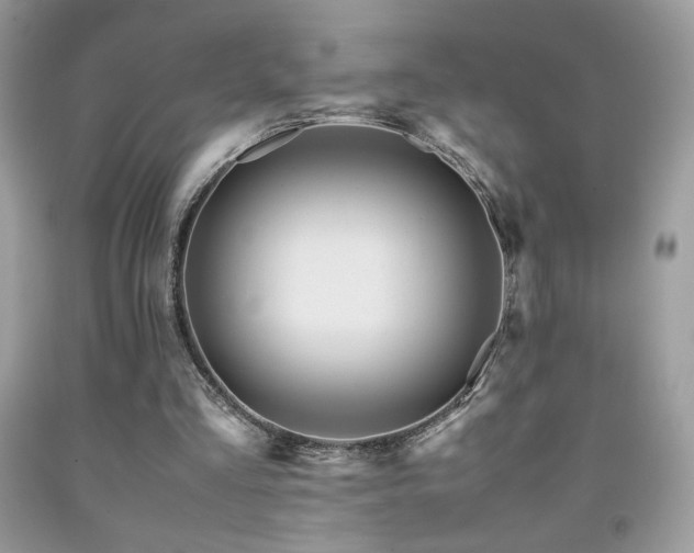 X0000091980293200709061400