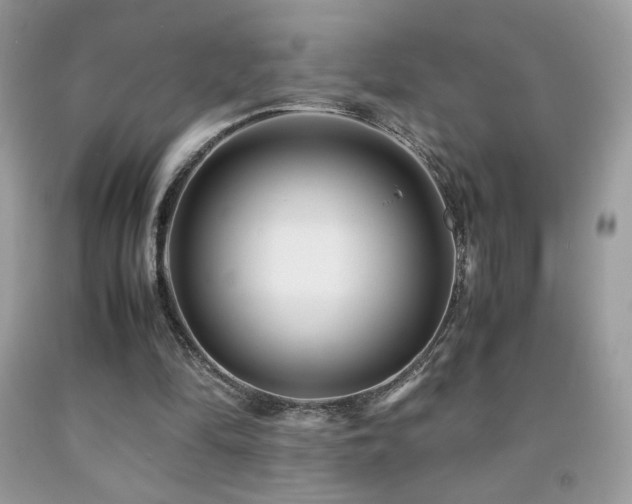 X0000091980294200709061400