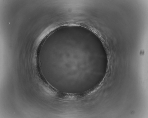 X0000091980295200709061400
