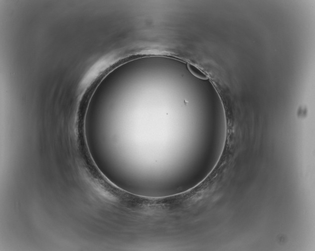 X0000091980296200709061400