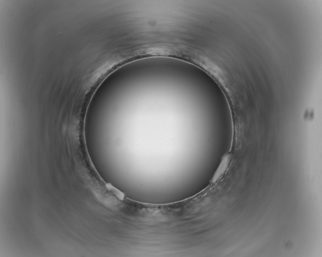X0000091980297200709061400