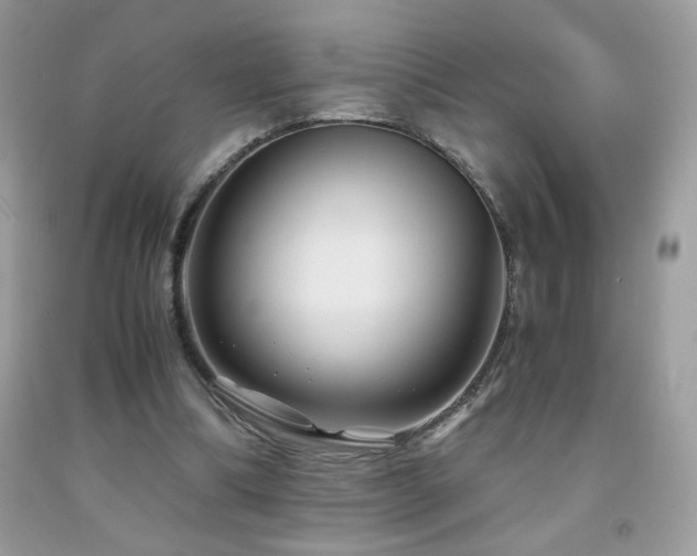 X0000091980298200709061400