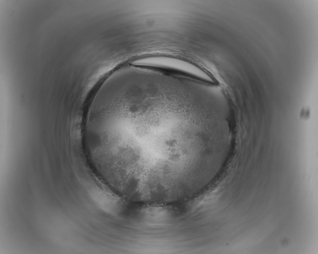 X0000091980299200709061400