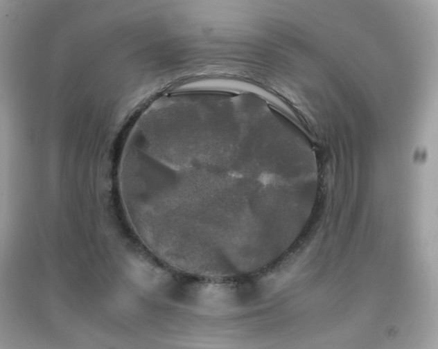 X0000091980303200709061400