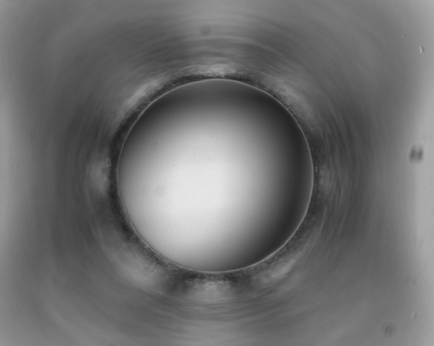 X0000091980304200709061400