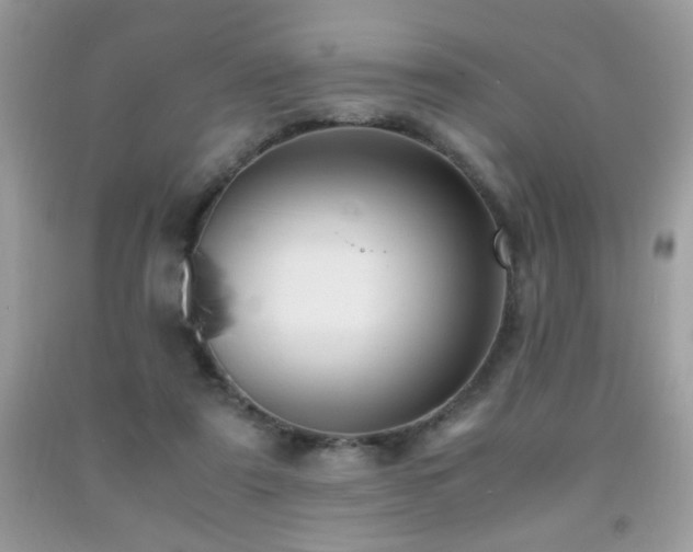 X0000091980307200709061400