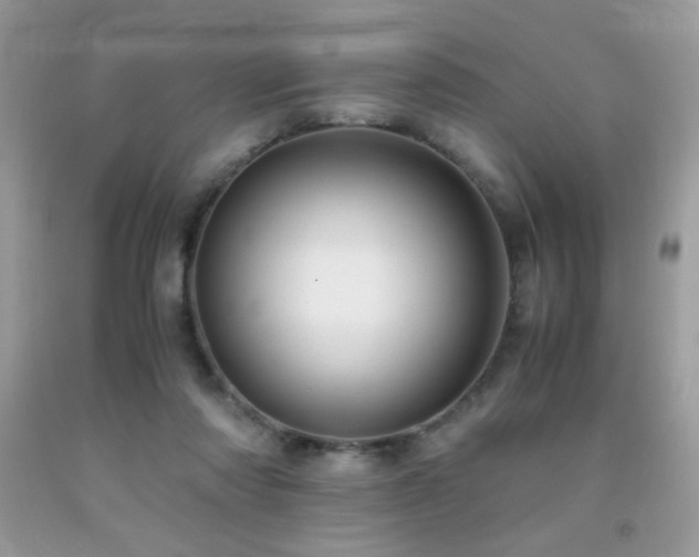 X0000091980310200709061400