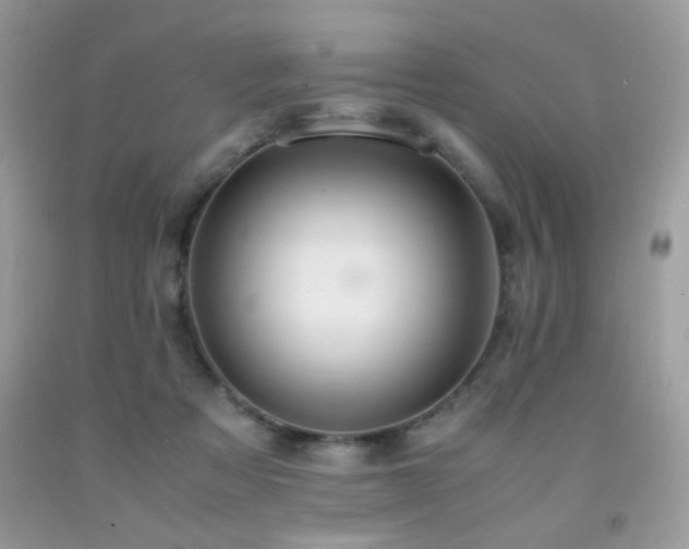 X0000091980313200709061400