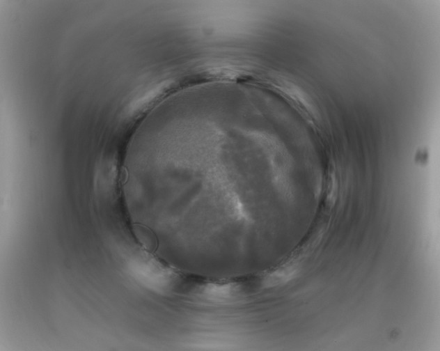X0000091980314200709061400