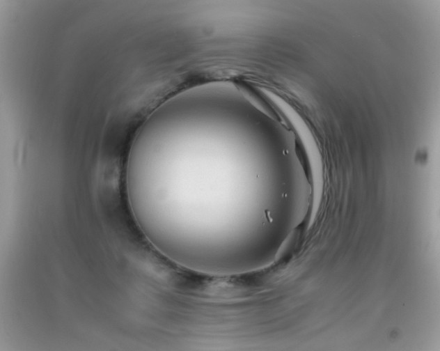 X0000091980315200709061400