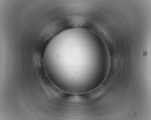 X0000091980316200709061400