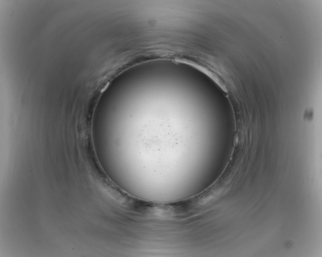 X0000091980317200709061400