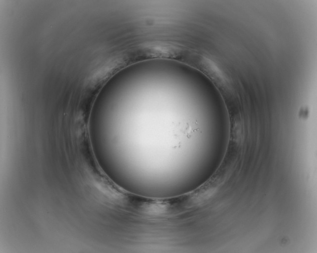 X0000091980318200709061400