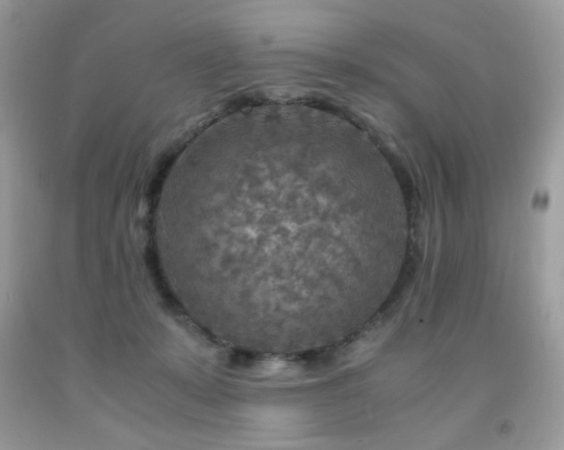 X0000091980319200709061400