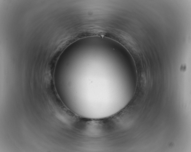 X0000091980320200709061400