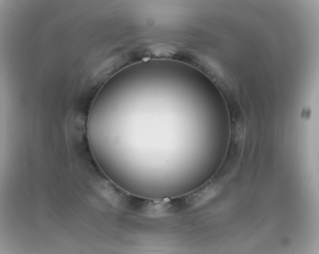 X0000091980321200709061400