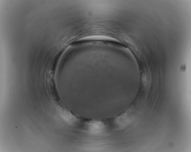 X0000091980322200709061400