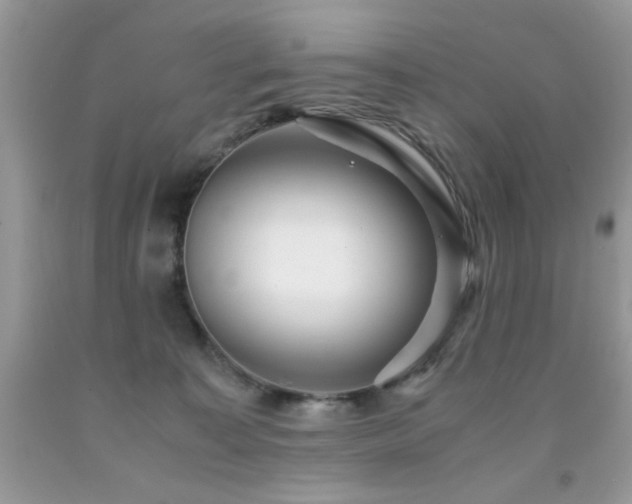 X0000091980323200709061400