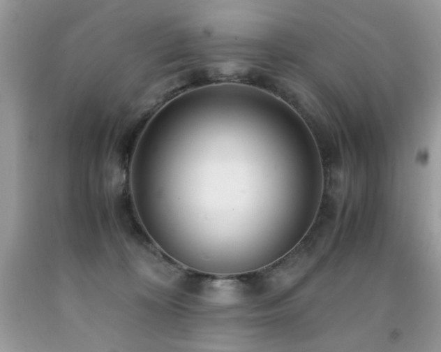 X0000091980324200709061400