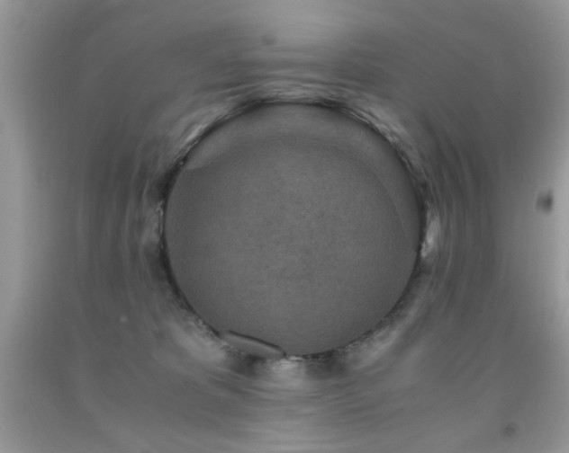 X0000091980325200709061400
