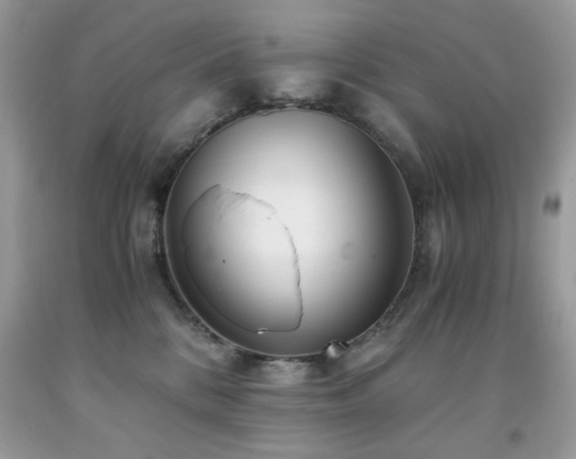 X0000091980328200709061400