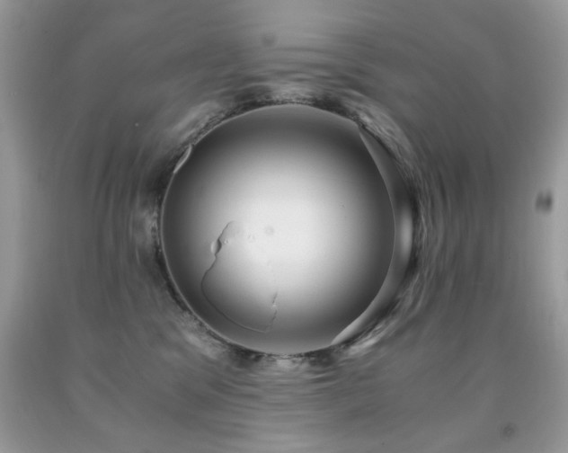 X0000091980329200709061400