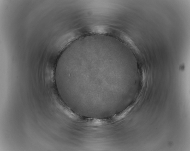 X0000091980330200709061400