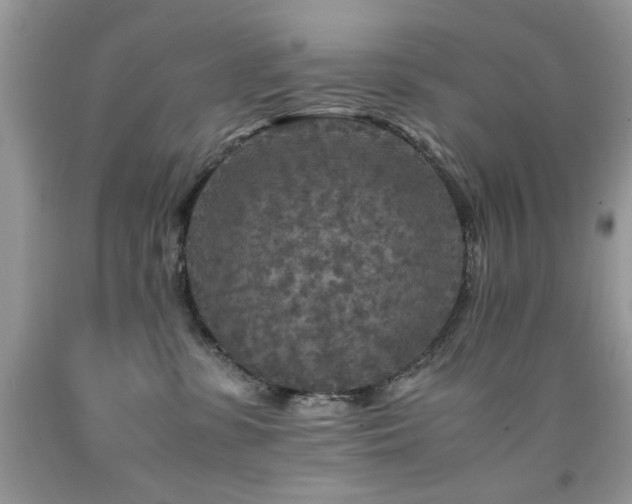 X0000091980331200709061400
