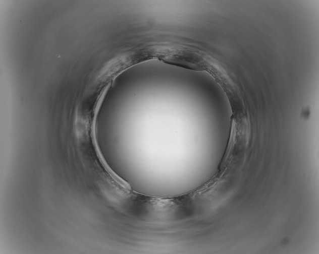 X0000091980333200709061400