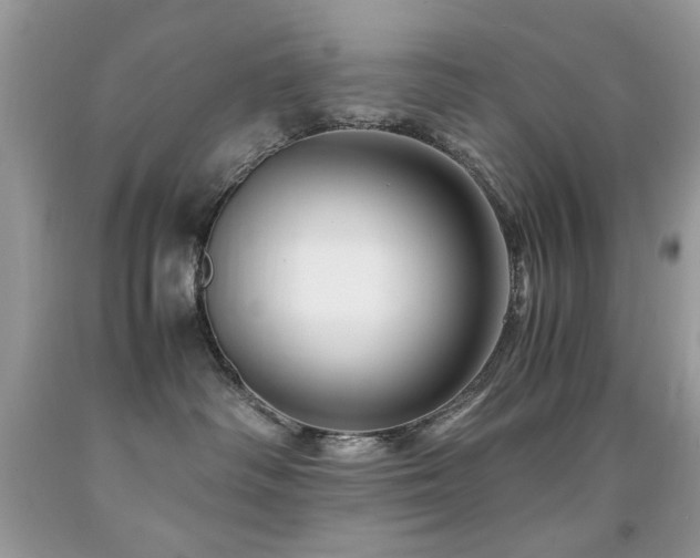 X0000091980334200709061400