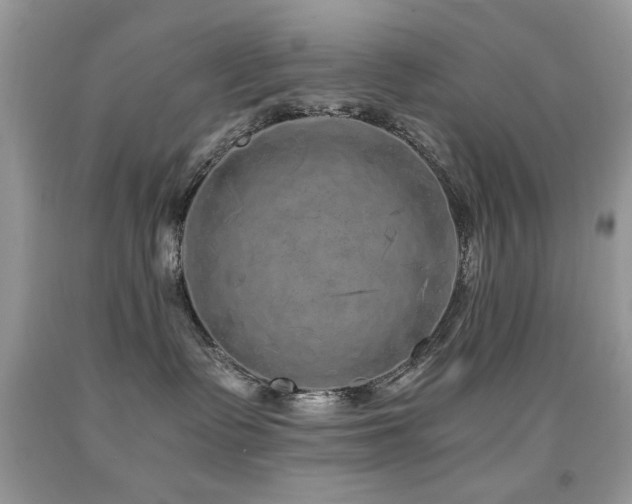 X0000091980335200709061400