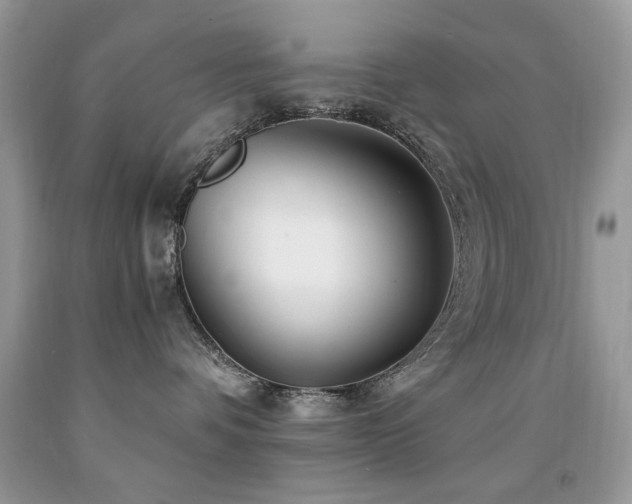 X0000091980336200709061400