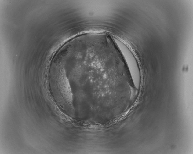 X0000091980337200709061359
